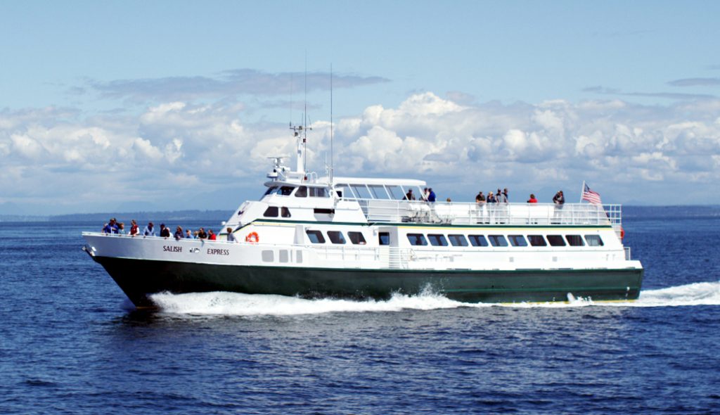 san juan cruises half day whale watching tour salish express
